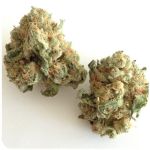 Шишки "White Widow"  (Белая вдова)  Гидропоника -  Бошка VHQ в Юхнове